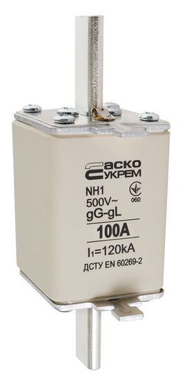 Запобіжник ножовий з плавкою вставкою NH1 100A gG АСКО