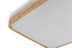 GLOW матовый 60W 391*391*65мм 3000К-6500К с пультом акація