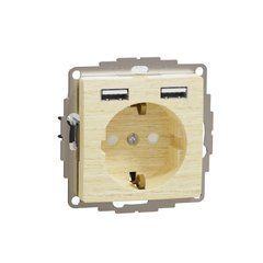 Розетка со шторками з/к и 2 USB разъемами типа A+A, Sedna Design & Elements, Береза- имитация дерева, SDD180052 Schneider, Береза