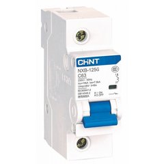 Автоматичний вимикач NXB-125 1п D100 10кА Chint