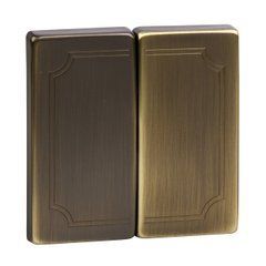 SD КЛАВІША Д/2-КЛАВІШ.ВИМИКАЧ.АНТ.ЛАТУНЬ, Merten Schneider, 22465, Латунь