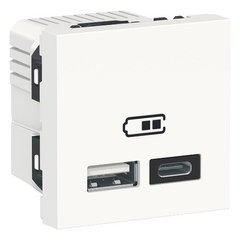 Schneider Двойная USB розетка A+C белый, 23078
