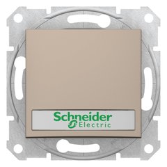 Кнопка з підсвіткою з полем для напису SDN1600368 Титан Sedna Schneider, 7287