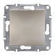 Заглушка Бронза EPH5600169 ASFORA Schneider Electric, 10015, Бронза
