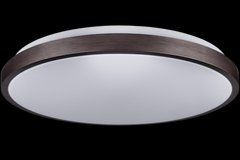 Светильник RING матовый 80W 480*60мм 3000К-6500К с пультом бронзовий