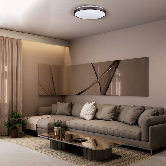 Светильник RING матовый 80W 480*60мм 3000К-6500К с пультом бронзовий