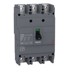 Автоматичний вимикач EASYPACT EZC250N 3P3T 25кА 225А з тепломагн. розчеплювачем Schneider